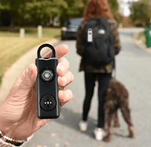 LED Flashlight Keychain